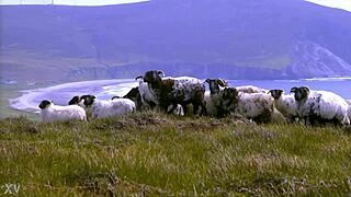 Edenists Champion Handmade Objects in Tate Modern Group Exhibition