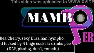 Brazilian nympho Bea Cherry anal pounded by four huge cocks