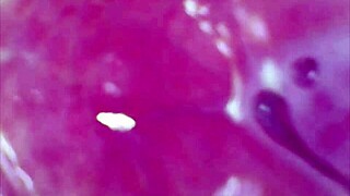 i'm shaking from this real pussy orgasm with cum deep inside under microscope