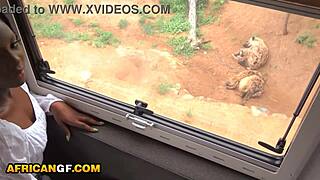 Can this sexy ebony girlfriend handle rough pounding from massive white cock?