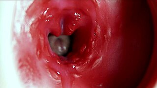 suggestive anal depths explode in moaning cum flood