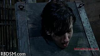 Bdsm electro castigation shocks my fetish desires hard