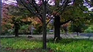 first time old young remakes blast hardcore cum compilations
