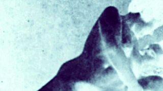 vintage erotic sketches from retro times