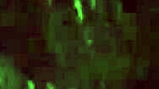 i can't stop spanking my throbbing useless dick it hurts so good