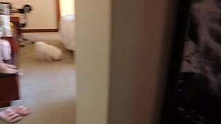 jazmine jynx's plump pussy lips labiaplasty vlog before after and backstage