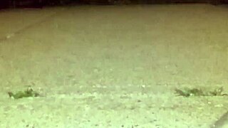 returning from anal holiday celebration blogging daily life adventures continued