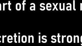 doctor tampa straps eliza shields for mandatory hitachi orgasms