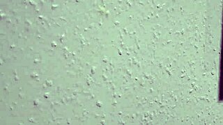 noisy neighbor teases with hidden moans