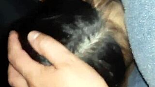 Neighbor lesbians lick wet hairy pussies close up in barn secret fuck