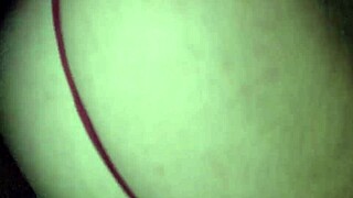 bull teases virgin's tight ass with massive cock rub