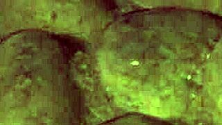 Mega Outdoor Pussy Pissing Closeup In Old Farmhouse Winery