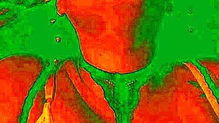 Exotic Colombian brunette flashes and licks her wet pussy close-up