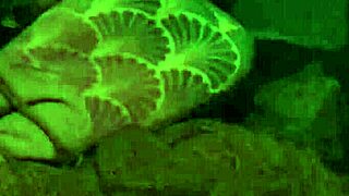 Fisherman s5 hooks international babes for outdoor public milf adventures