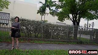 brunette latina hops on bang bus for cash-fueled screaming ride 😈