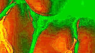 Exotic Colombian brunette flashes and licks her wet pussy close-up