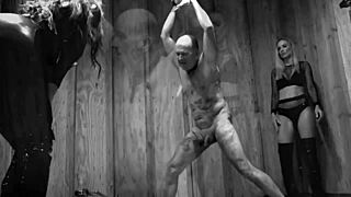 goddess platinum kicks balls brutally in epic femdom compilation