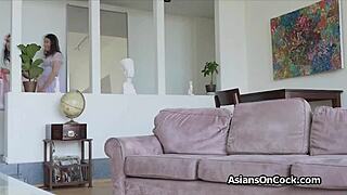 two asian sugar babes share monster cock in wild lingerie threesome