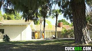 cucky watch me get fucked hard by huge black convicts sharing your hotwife