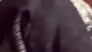 He shoves dick in my mouth then fucks my wet pussy raw hard