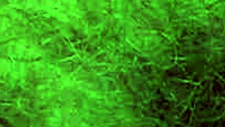 Hairy Mature Blonde Pisses Doggy Squatting Wet Pussy Closeup ASMR