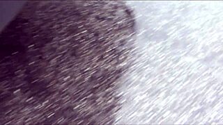 nicole moore chases huge black monster cocks like a horny cougar bitch