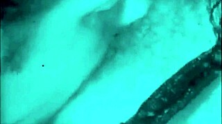 Dark Lantern Unveils Two Centuries of Vintage Pussy Licking