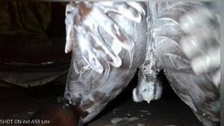 Nasty African Beast Jerks Monster Cock Freaky Solo Cam