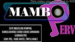 omg cute bianca takes five monster cocks in insane anal gangbang gapes!
