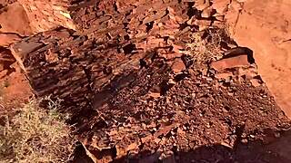 cheetah adora's vast ass canyon swallows monster cock cowgirl