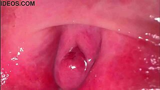 Amateur pink pussy after losing virginity