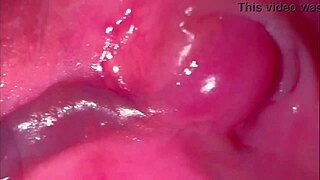 Amateur pink pussy after losing virginity