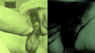 Vintage Hairy Mature Sex