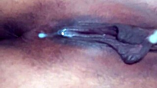 Pornstar Poosoo's Performance on June 5, 2017