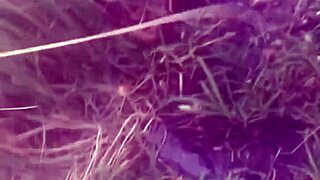 Orgy gay bareback di SC dengan orang asing