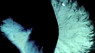 Héé, nézd ezt! Dark Lantern Entertainment Beauty and the Beast retró hangulat 🐾