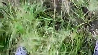 Naapurini odottaa minua oven edessä kovalla kullilla