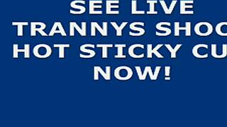 Shemale webcam kuuma siemensyöksy