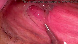 业余亚洲妻子失去处女172天后被猛操